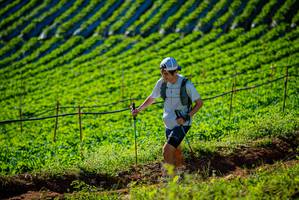 BIB: 
                            <button type="button" onclick="openModal(19160425)" class="btn btn-primary btn-sm float-right btn-popup" data-toggle="modal" data-target=".modal-high-quality">
                        <i class="fas fa-shopping-cart"></i> Add to Cart
                    </button>
                                            <button type="button" onclick="isThisMe(19160425, true)" class="btn btn-success btn-sm float-right btn-popup btn-isme hidden" data-toggle="tooltip" data-placement="bottom" title="นี่คือรูปของคุณใช่ไหม คลิกที่นี่เพื่อเอาเข้าอัลบั้ม">
                        <i class="fas fa-plus"></i> Add to album
                    </button>
                    <button type="button" onclick="isThisMe(19160425, false)" class="btn btn-warning btn-sm float-right btn-popup btn-isnotme hidden">
                        <i class="fas fa-ban"></i> Remove from album
                    </button>